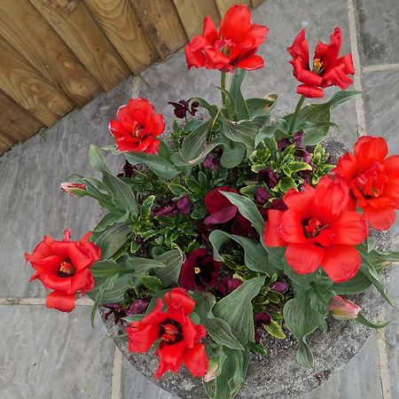 Rosegarth Bed And Breakfast Marton near Pickering 外观 照片