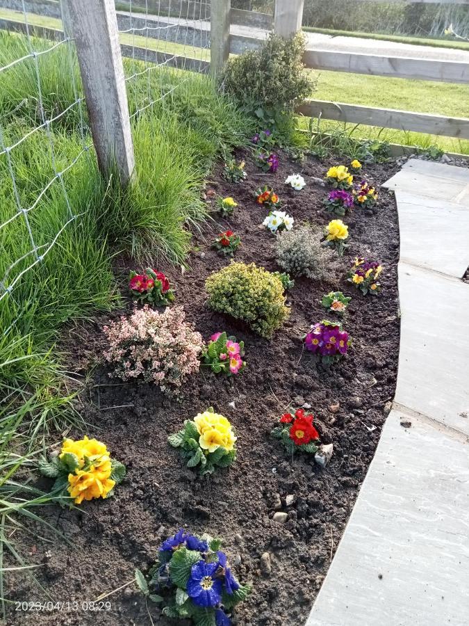 Rosegarth Bed And Breakfast Marton near Pickering 外观 照片