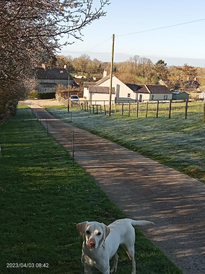 Rosegarth Bed And Breakfast Marton near Pickering 外观 照片