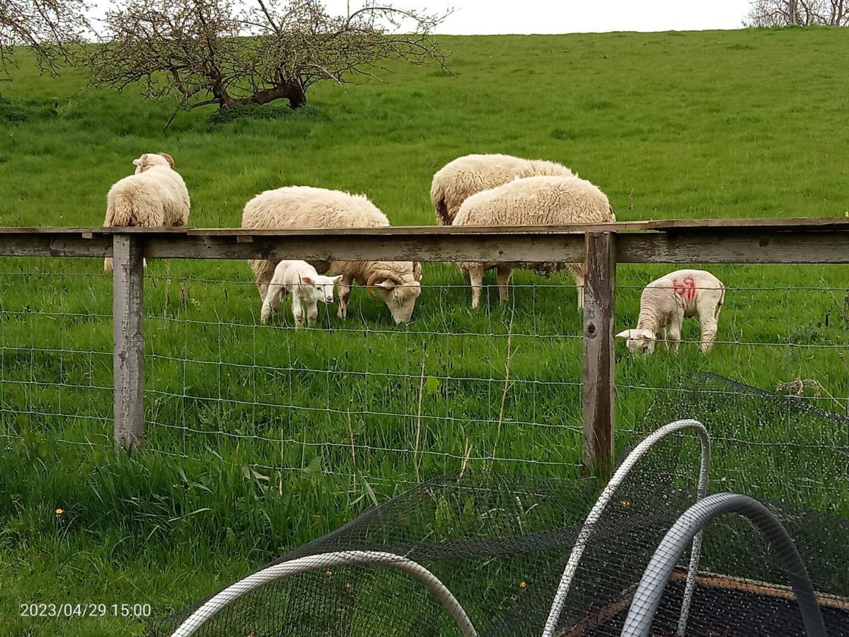 Rosegarth Bed And Breakfast Marton near Pickering 外观 照片