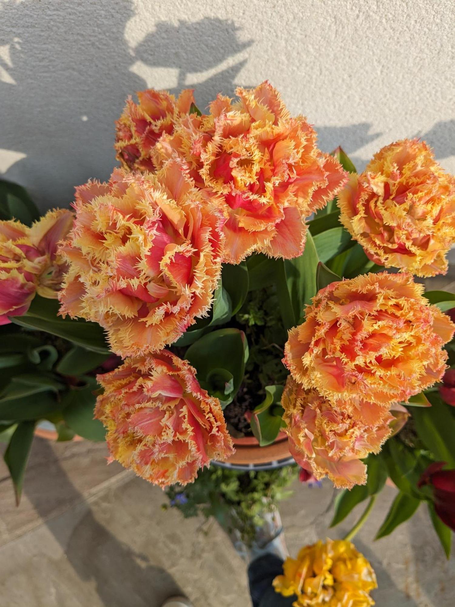Rosegarth Bed And Breakfast Marton near Pickering 外观 照片