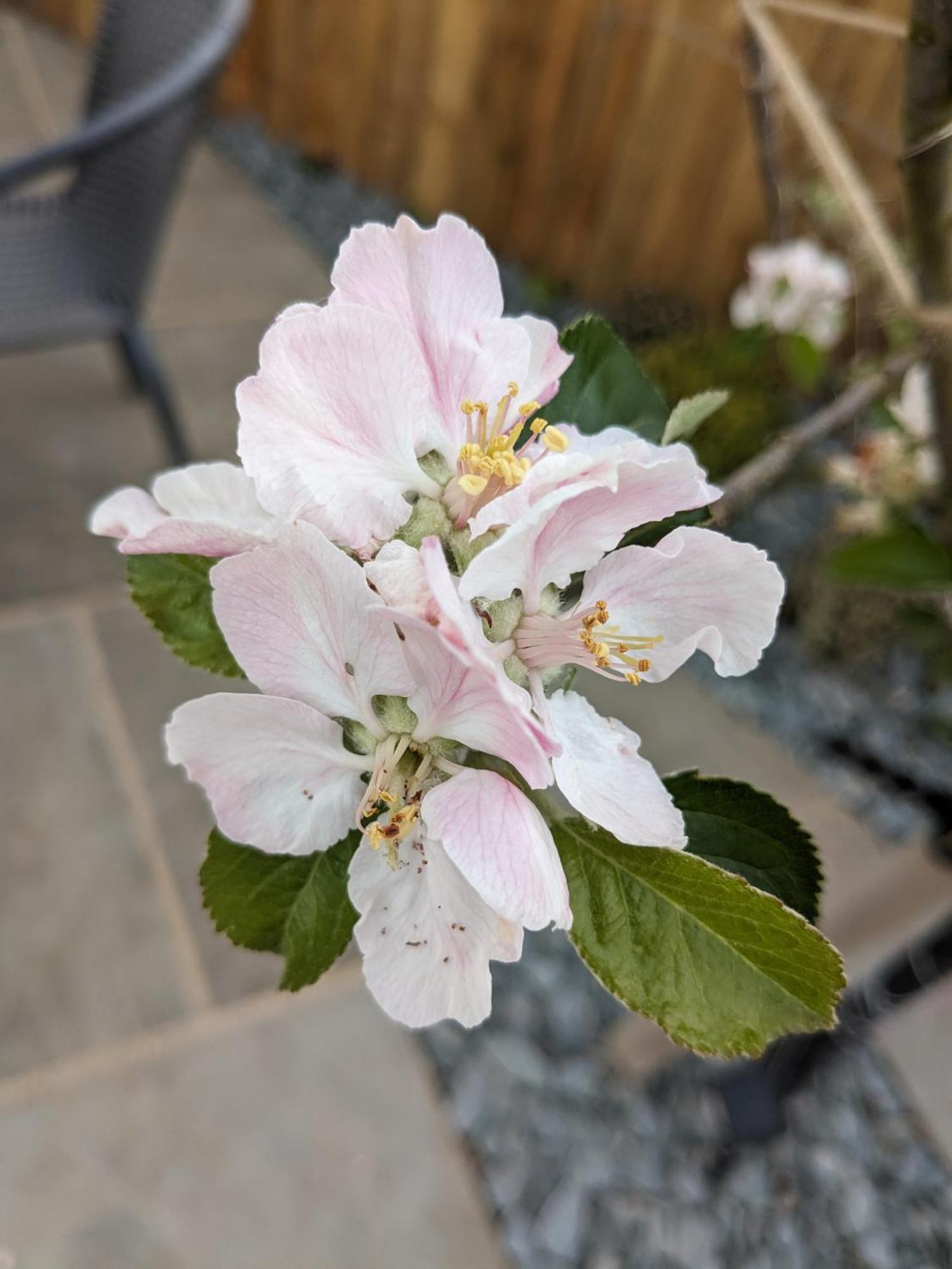 Rosegarth Bed And Breakfast Marton near Pickering 外观 照片