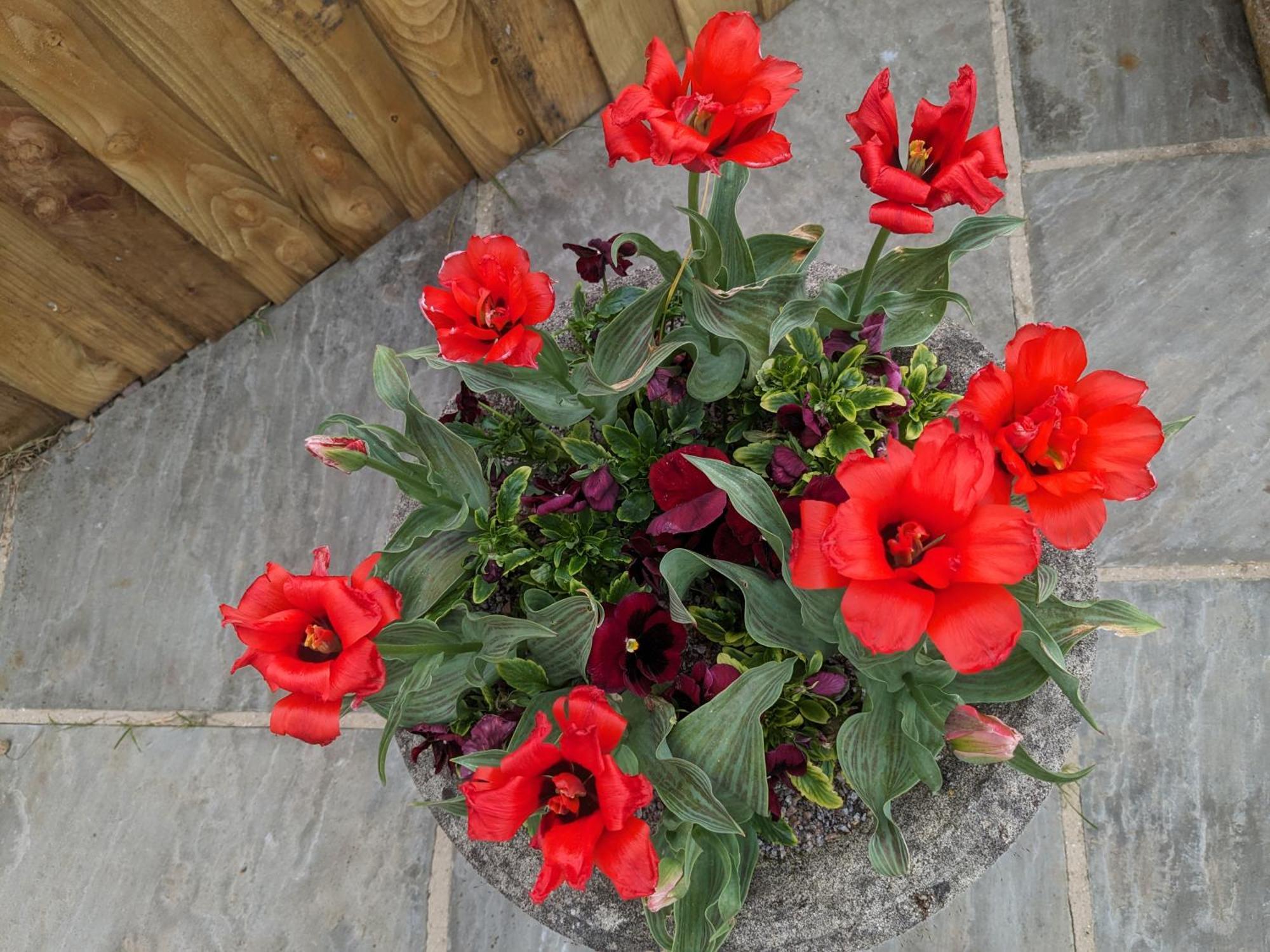 Rosegarth Bed And Breakfast Marton near Pickering 外观 照片