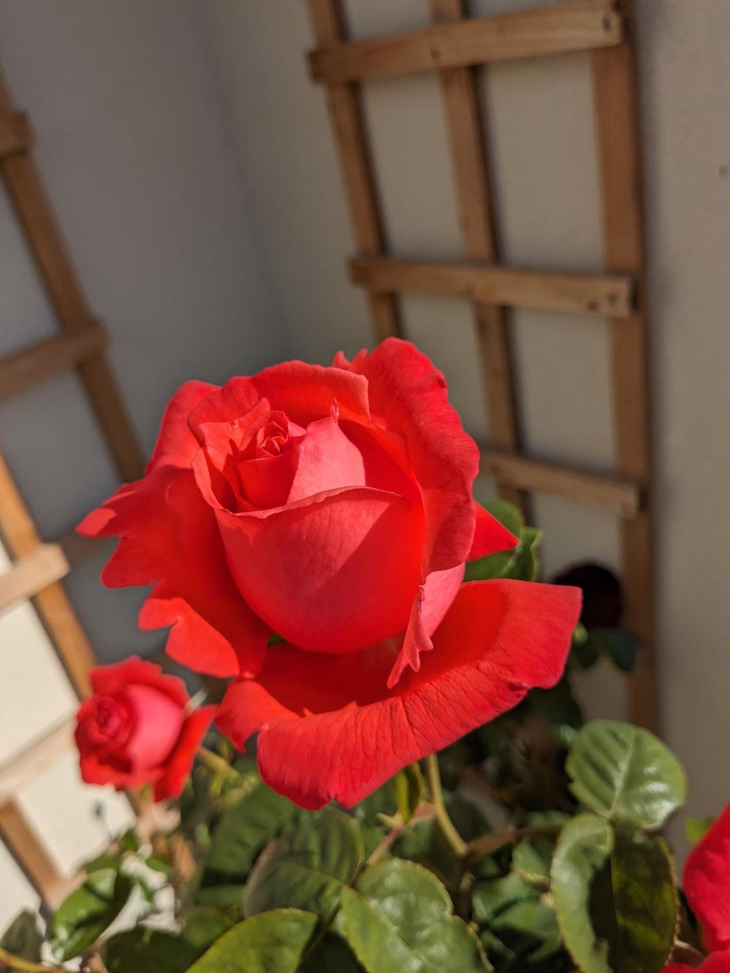 Rosegarth Bed And Breakfast Marton near Pickering 外观 照片